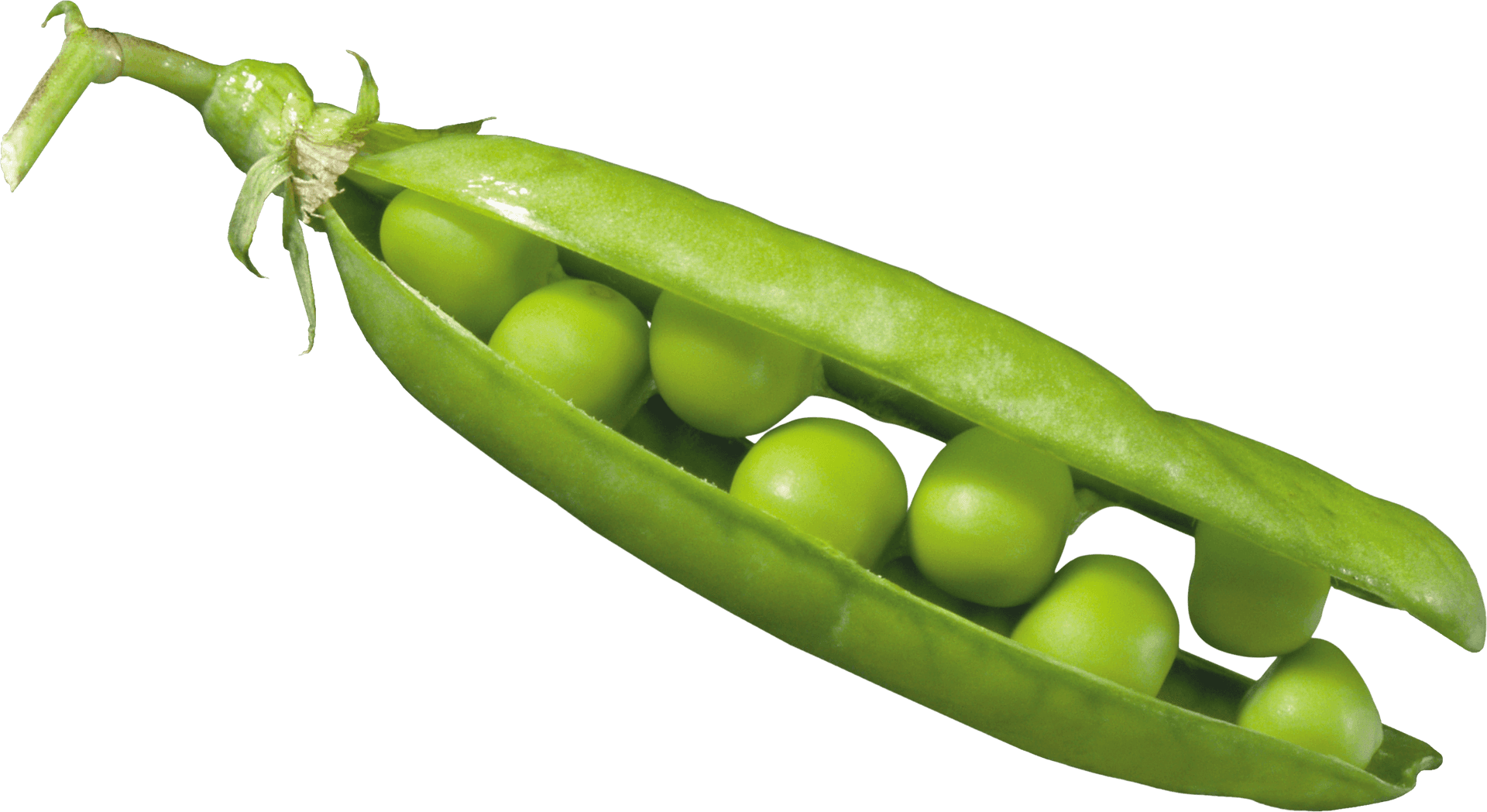 Fresh Green Pea Pod PNG image
