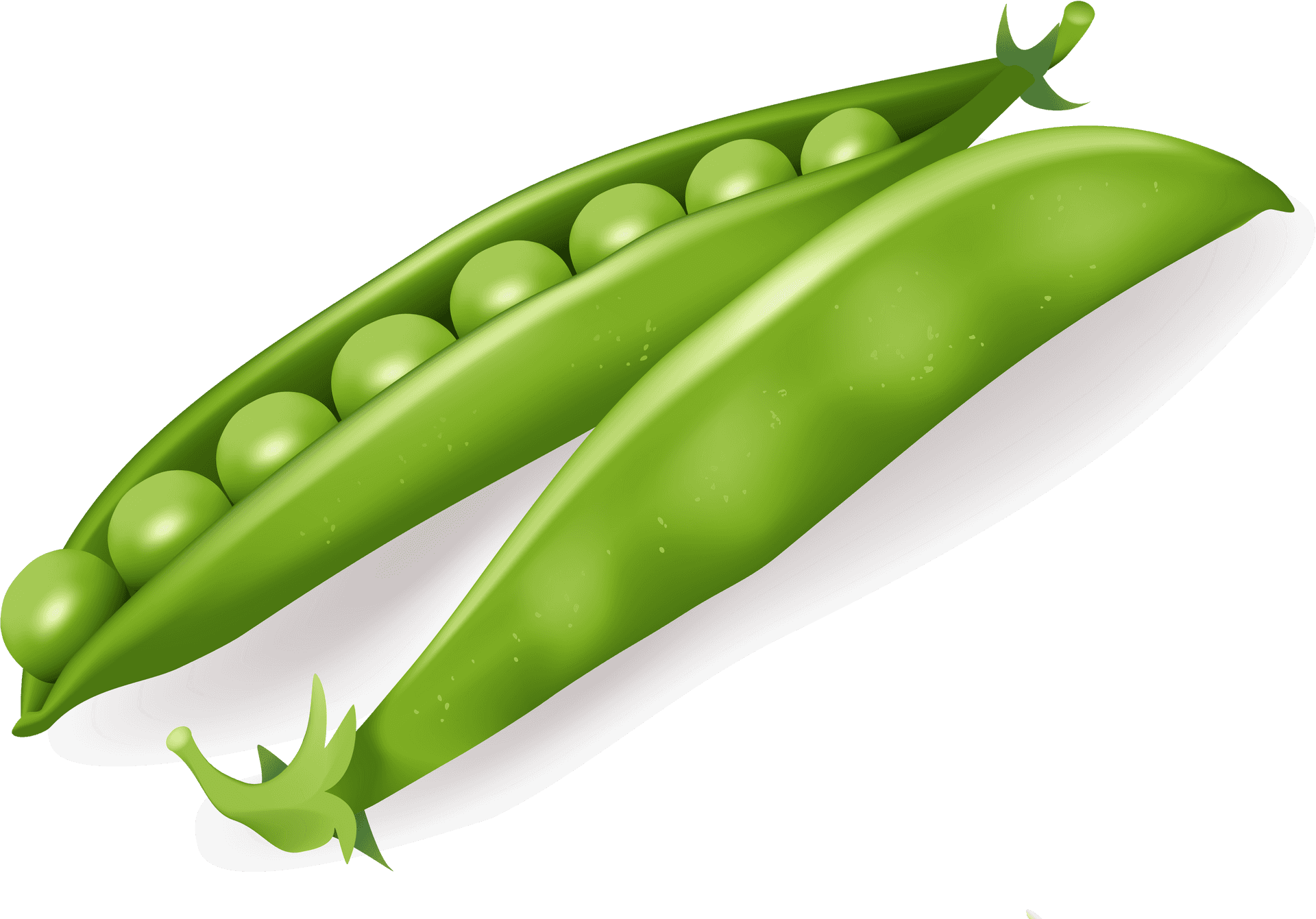 Fresh Green Pea Pod Illustration PNG image