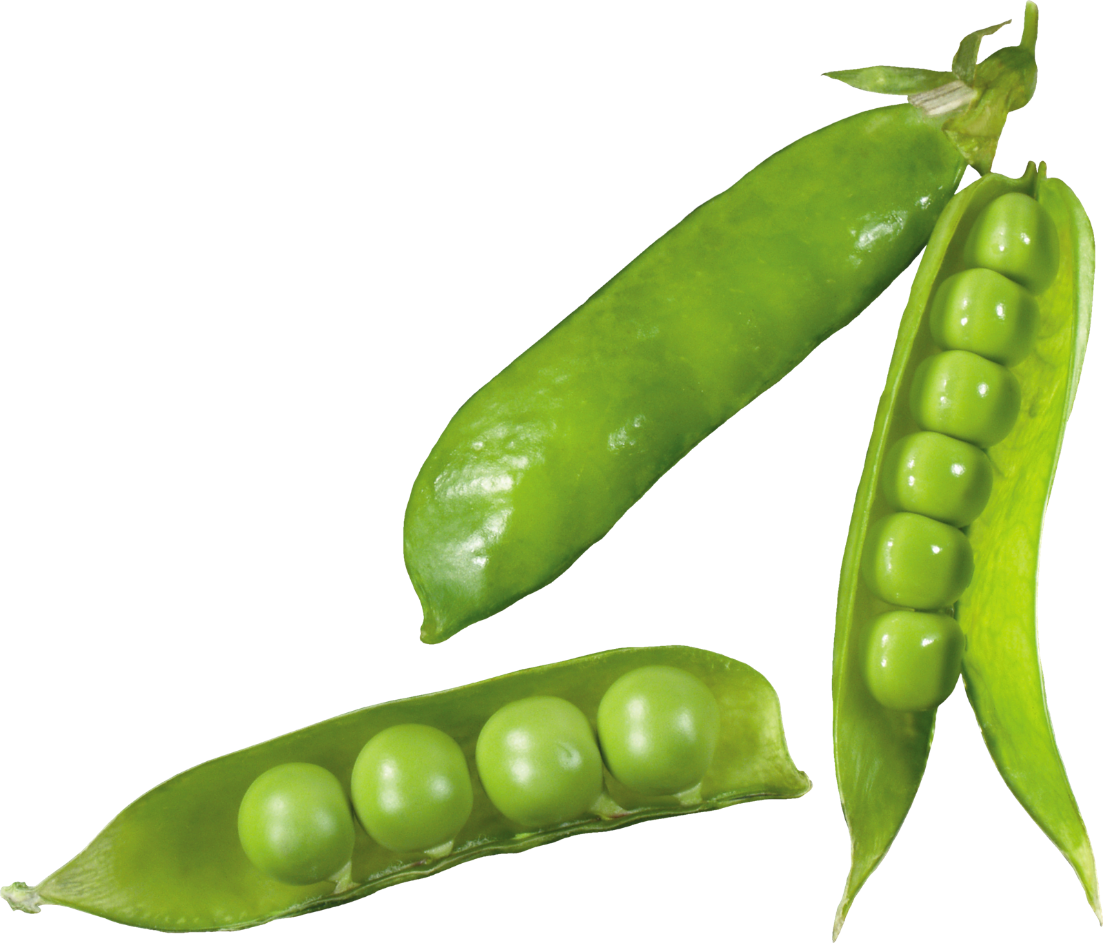 Fresh Green Peas Pods Transparent Background PNG image