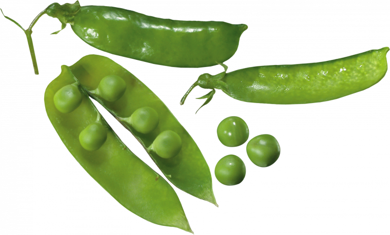 Fresh Green Peas Pods PNG image