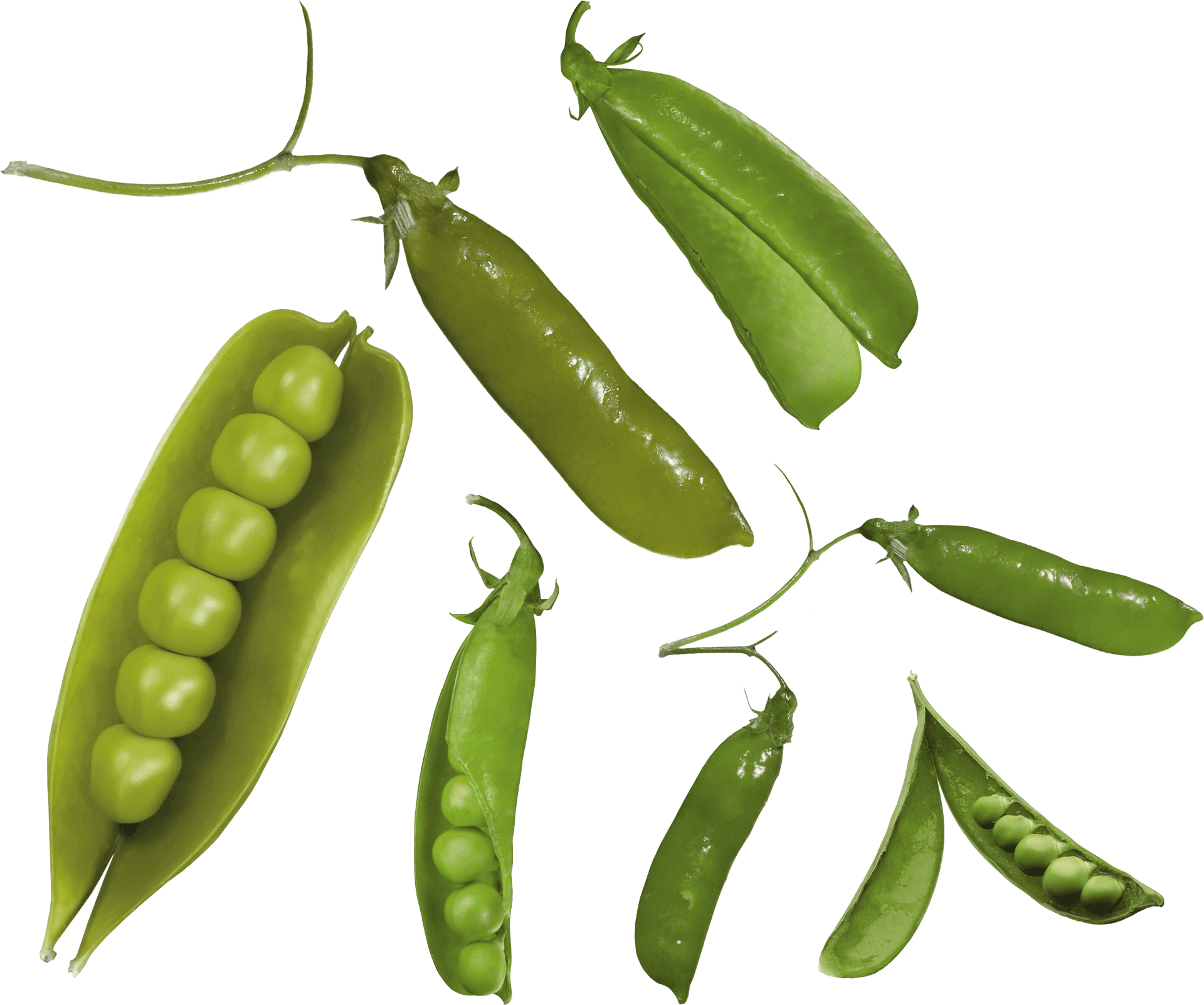 Fresh Green Peas Variety PNG image