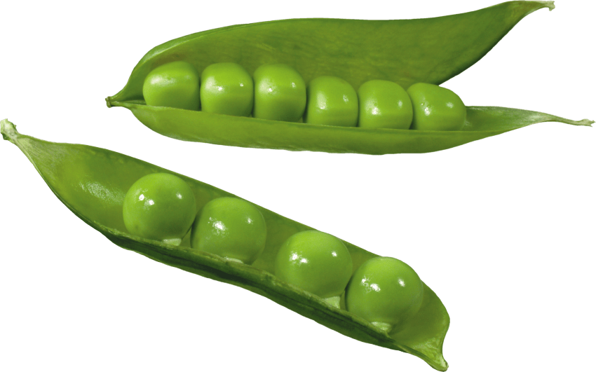 Fresh Green Peasin Pods PNG image