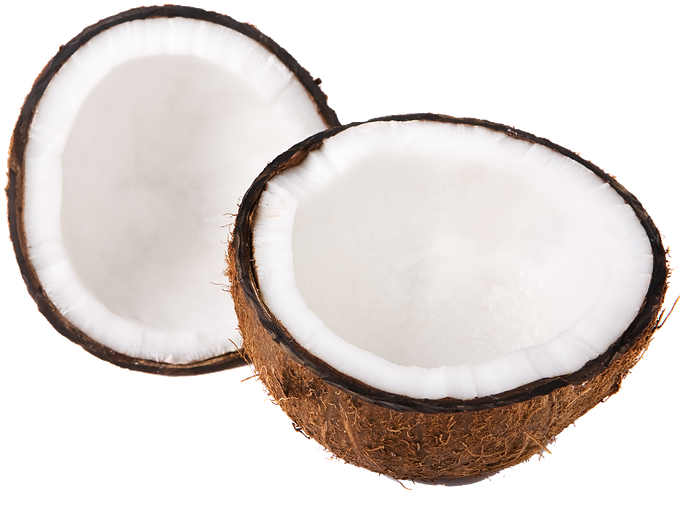 Fresh Halved Coconut Transparent Background PNG image