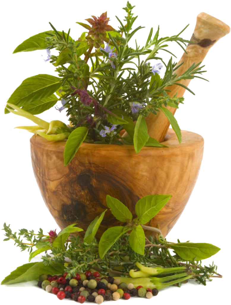 Fresh Herbsand Mortar Pestle PNG image