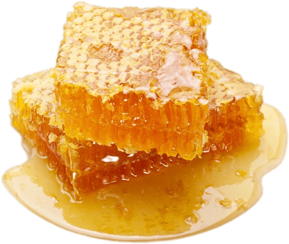 Fresh Honeycomb Piece Dripping Honey PNG image