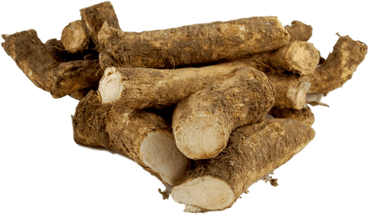 Fresh Horseradish Roots PNG image