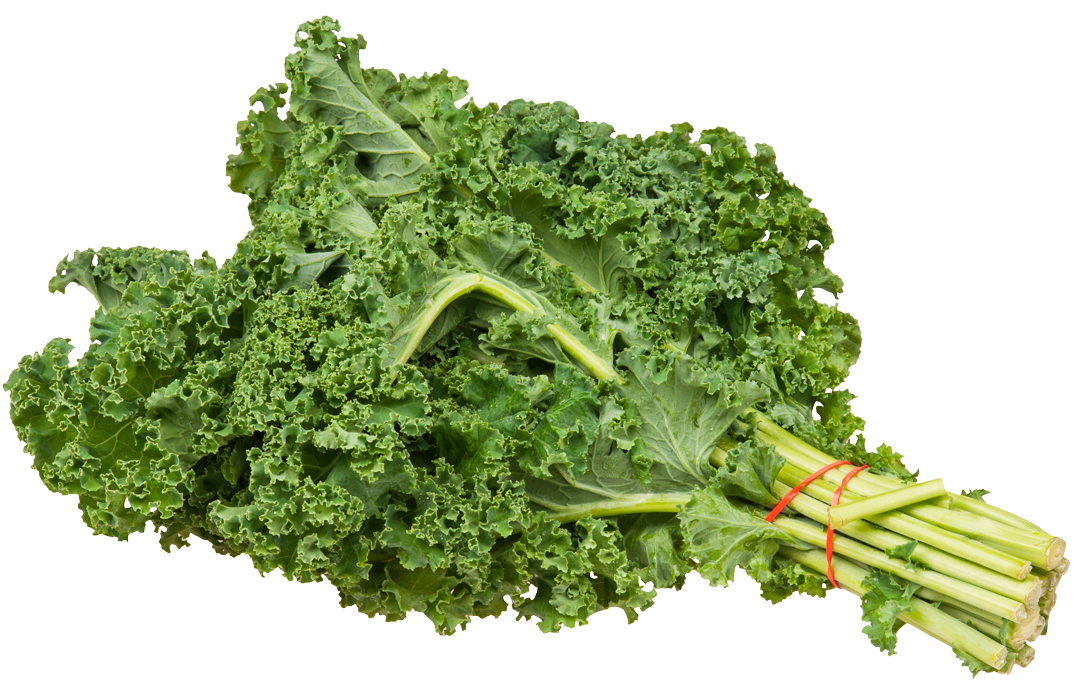 Fresh Kale Bunch.png PNG image
