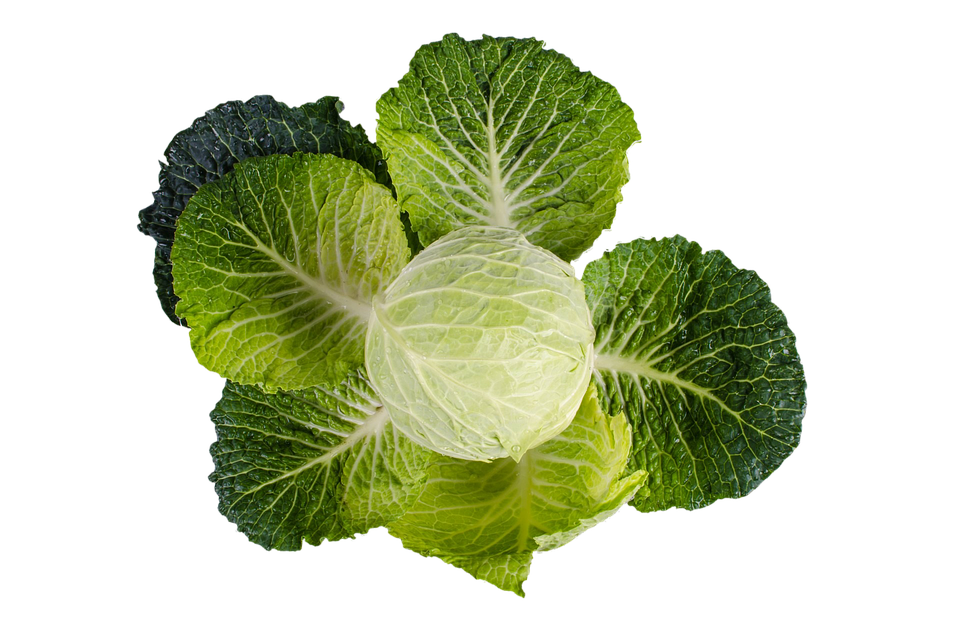 Fresh Kale Leaves Isolated PNG image