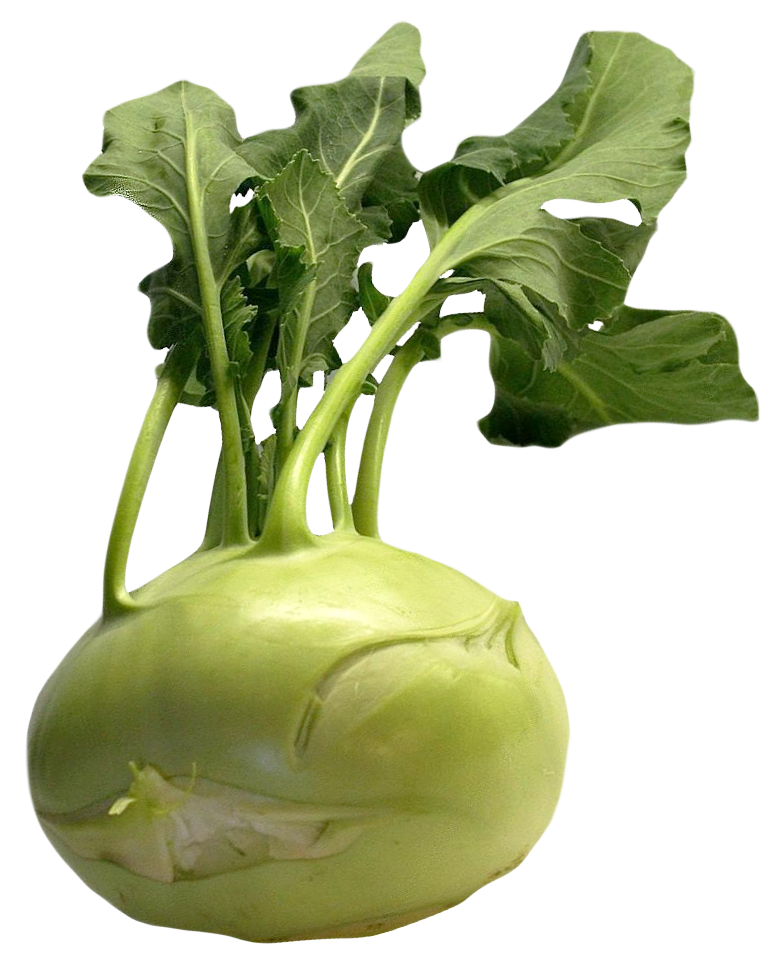 Fresh Kohlrabi Vegetable.png PNG image
