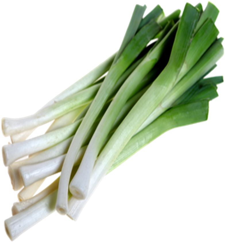 Fresh Leeks Isolated.png PNG image