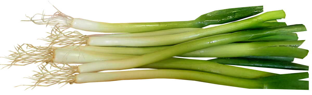 Fresh Leeks Isolatedon Background PNG image