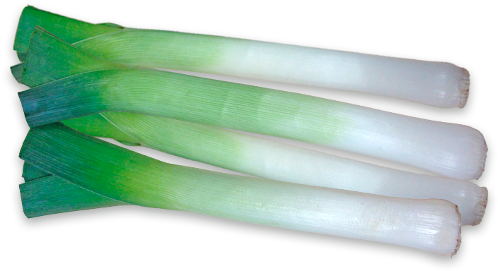 Fresh Leeks Isolatedon Background PNG image