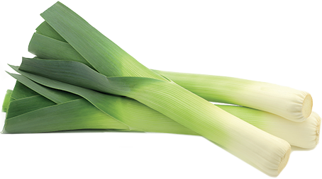 Fresh Leeks Isolatedon Transparent Background PNG image