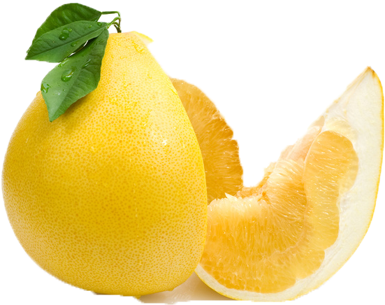 Fresh Lemonand Slice PNG image