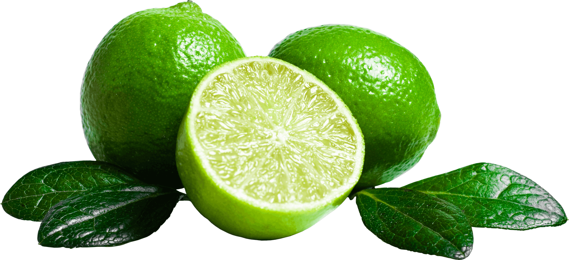 Fresh Limesand Leaves PNG image