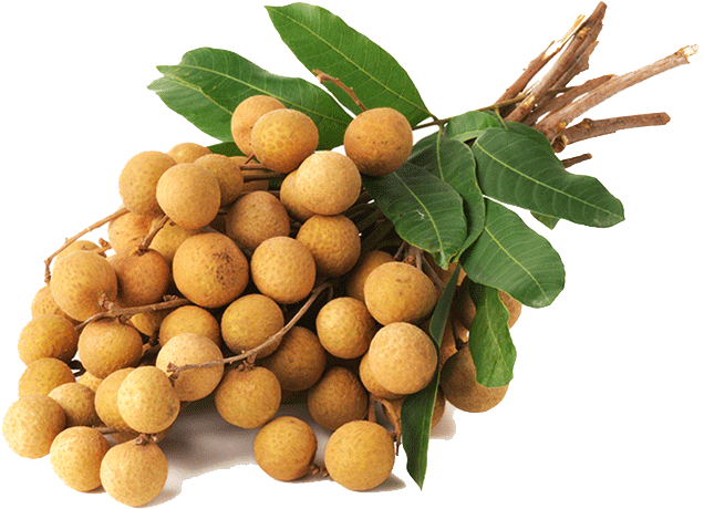 Longan Png Images (100++)