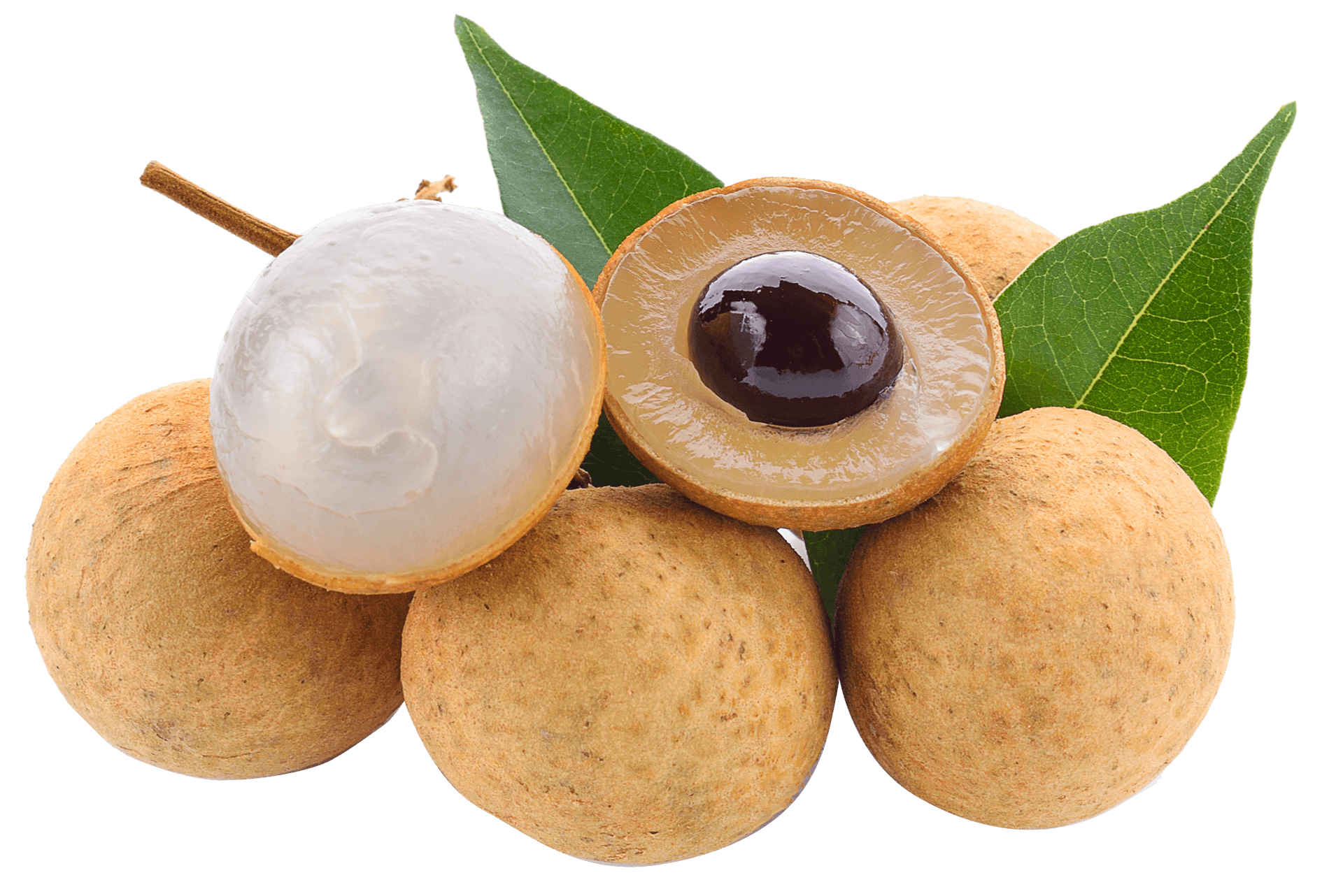 Fresh Longan Fruit Cluster PNG image