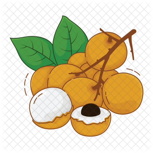 Fresh Longan Fruit Illustration PNG image