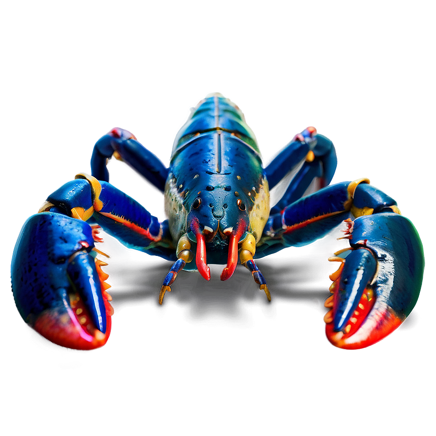 Fresh Maine Lobster Feast Png Poy47 PNG image