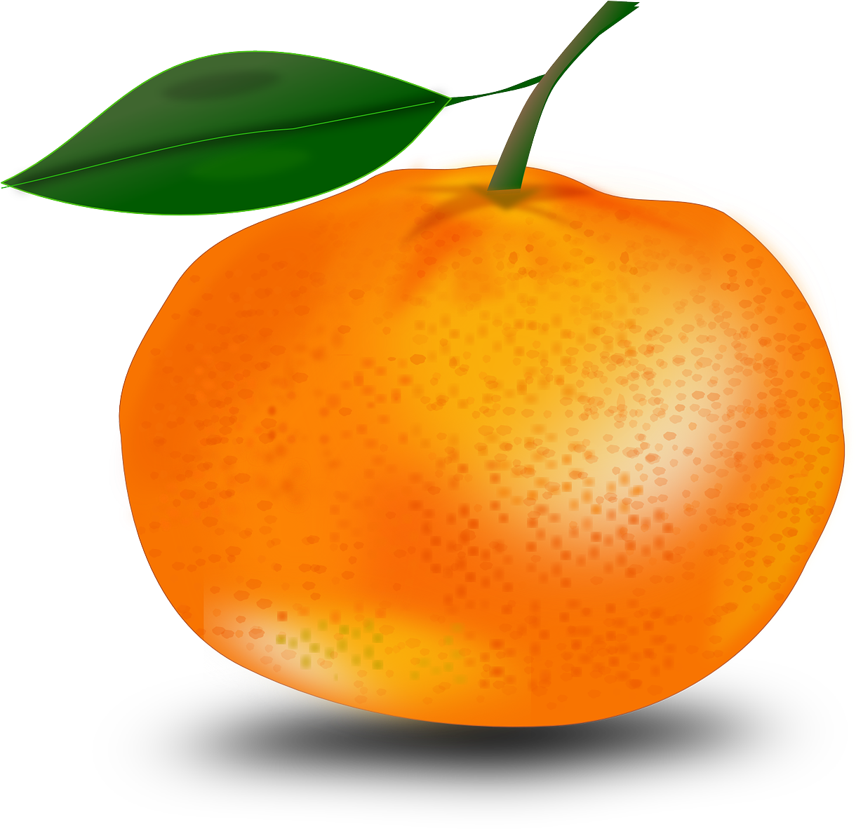 Fresh Mandarin Orange Illustration PNG image