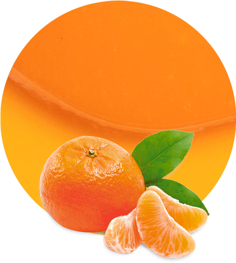 Fresh Mandarin Orange Slices PNG image