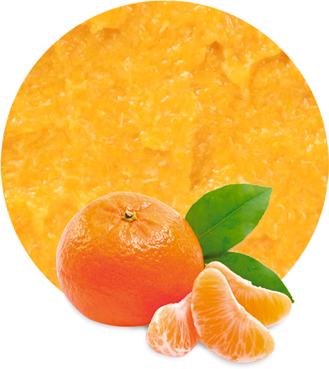 Fresh Mandarin Orange Slices PNG image