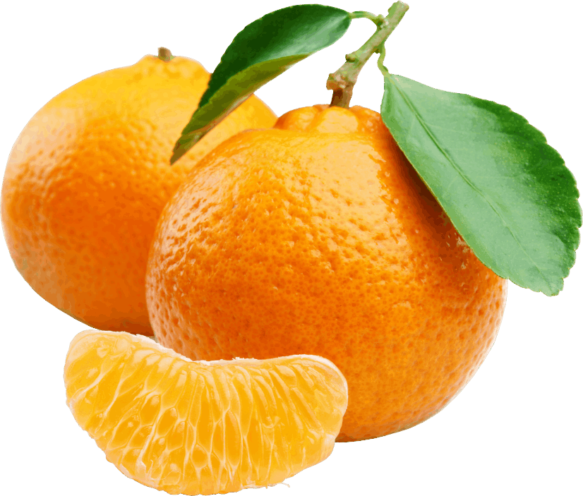 Fresh Mandarin Oranges With Leaves PNG image