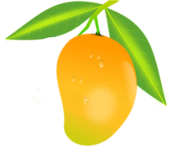 Fresh Mango With Dew Drops Illustration PNG image