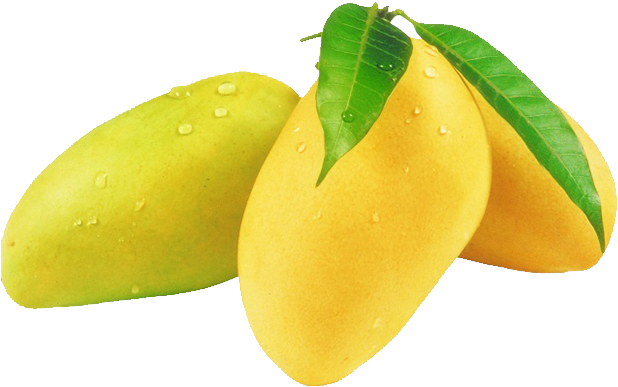 Fresh Mangoes With Dew Drops PNG image