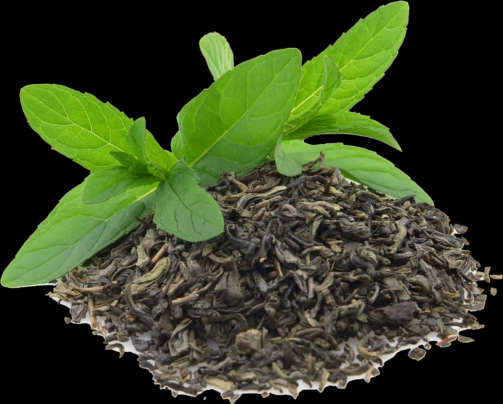 Fresh Mint Leaveson Dried Tea PNG image