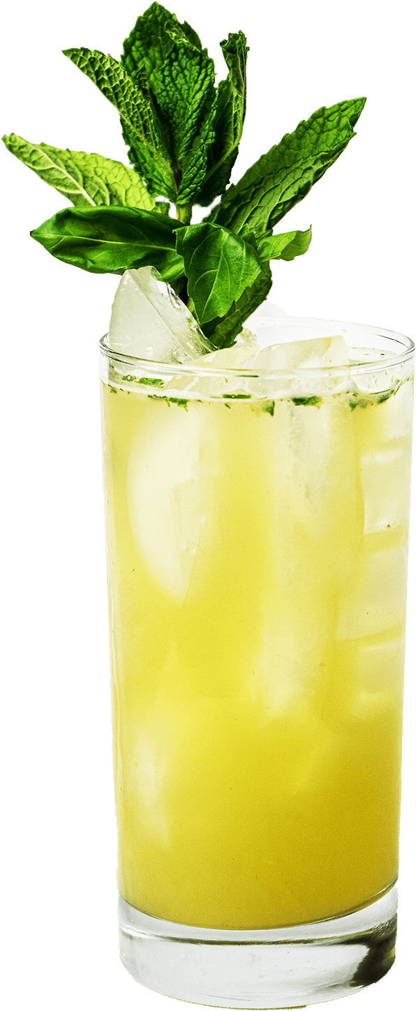 Fresh Mojito Cocktail Glass PNG image