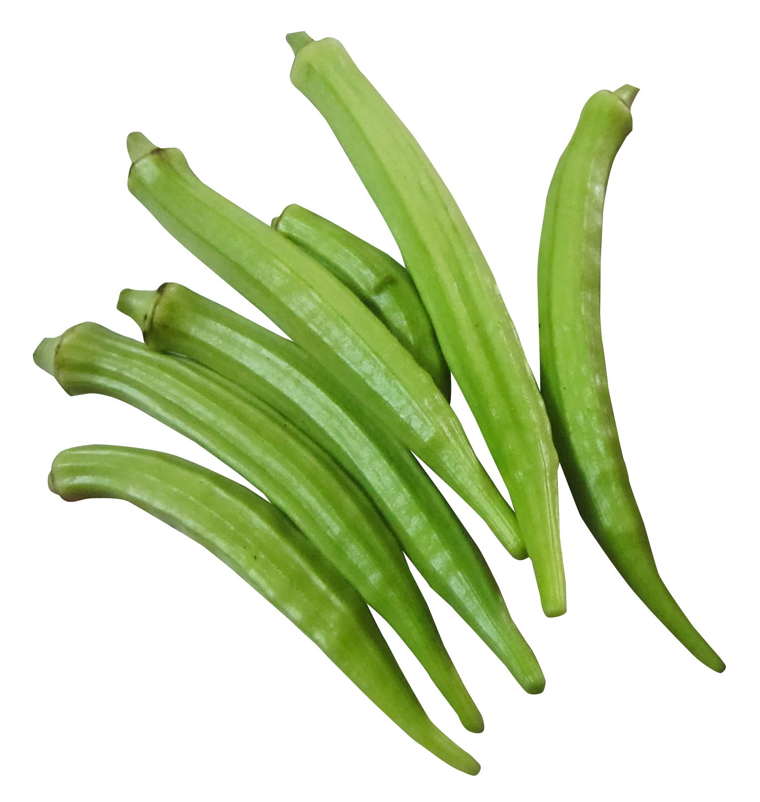 Fresh Okra Clusteron Blue Background PNG image