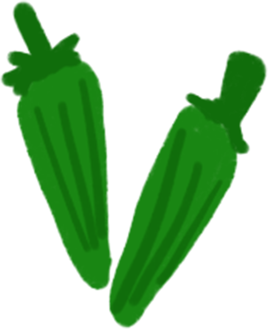 Fresh Okra Illustration PNG image