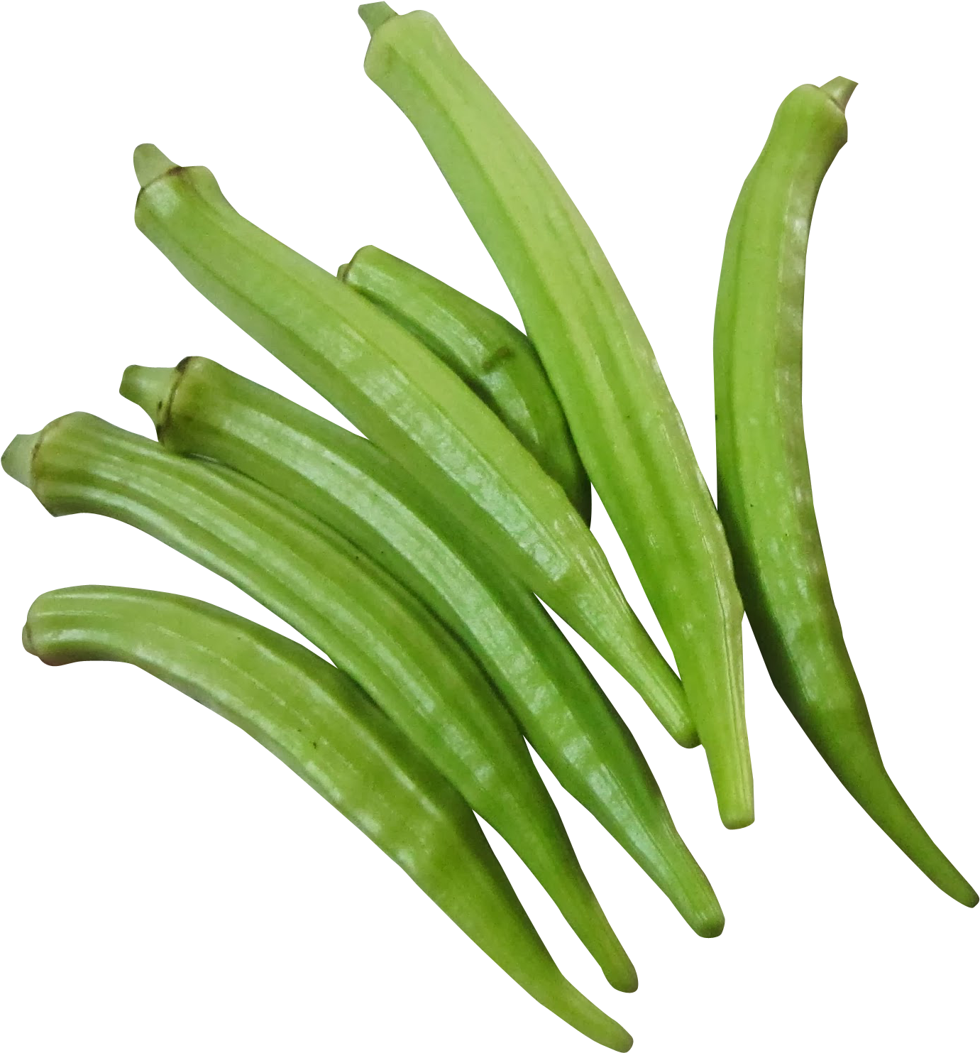 Fresh Okra Pods Isolated PNG image