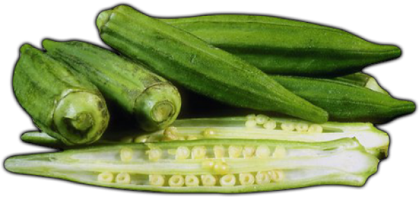 Fresh Okra Podsand Slices PNG image