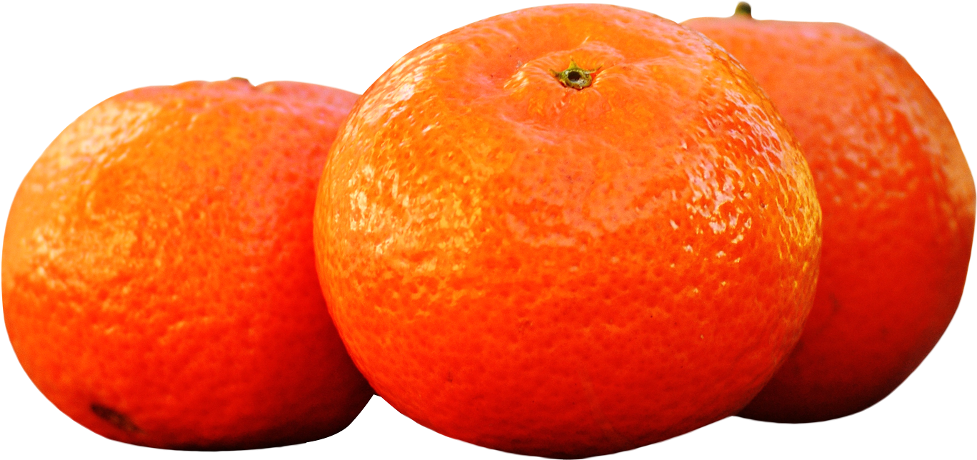 Fresh Oranges Isolated Background PNG image