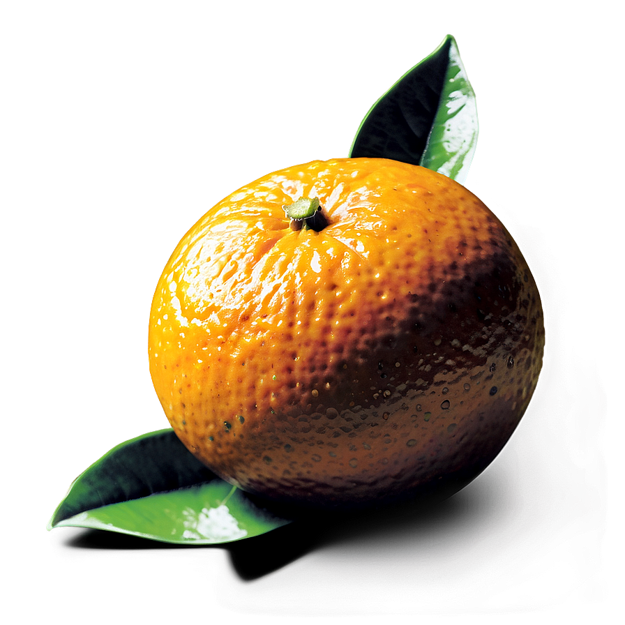 Fresh Oranges Png Xgt87 PNG image