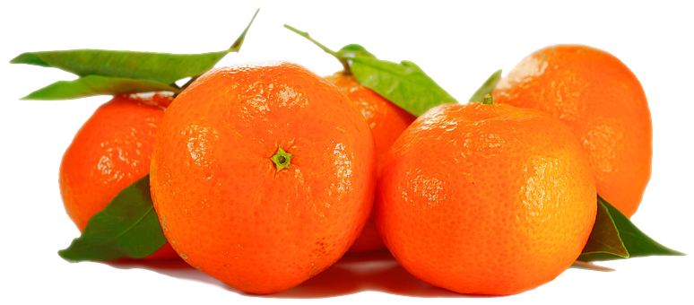 Fresh Orangeswith Leaveson Black Background PNG image