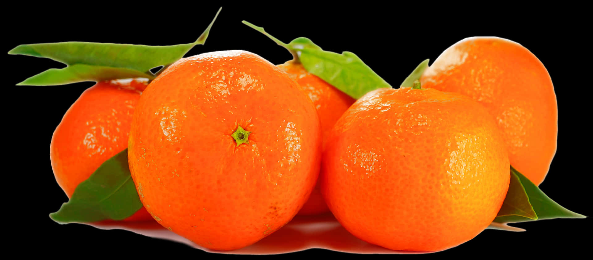 Fresh Orangeswith Leaveson Black Background PNG image