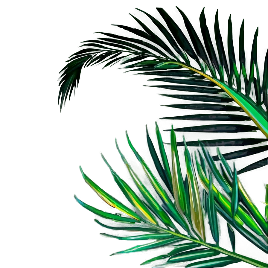 Fresh Palm Leaves Png Qoo PNG image