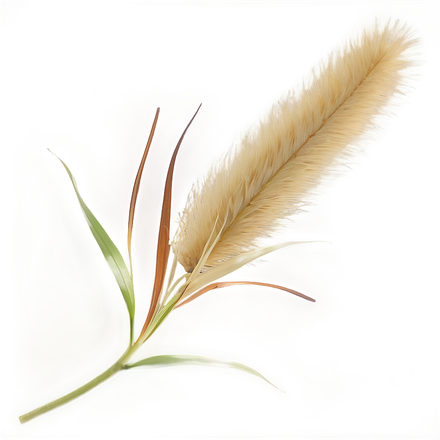 Fresh Pampas Clippings Png Vrl1 PNG image