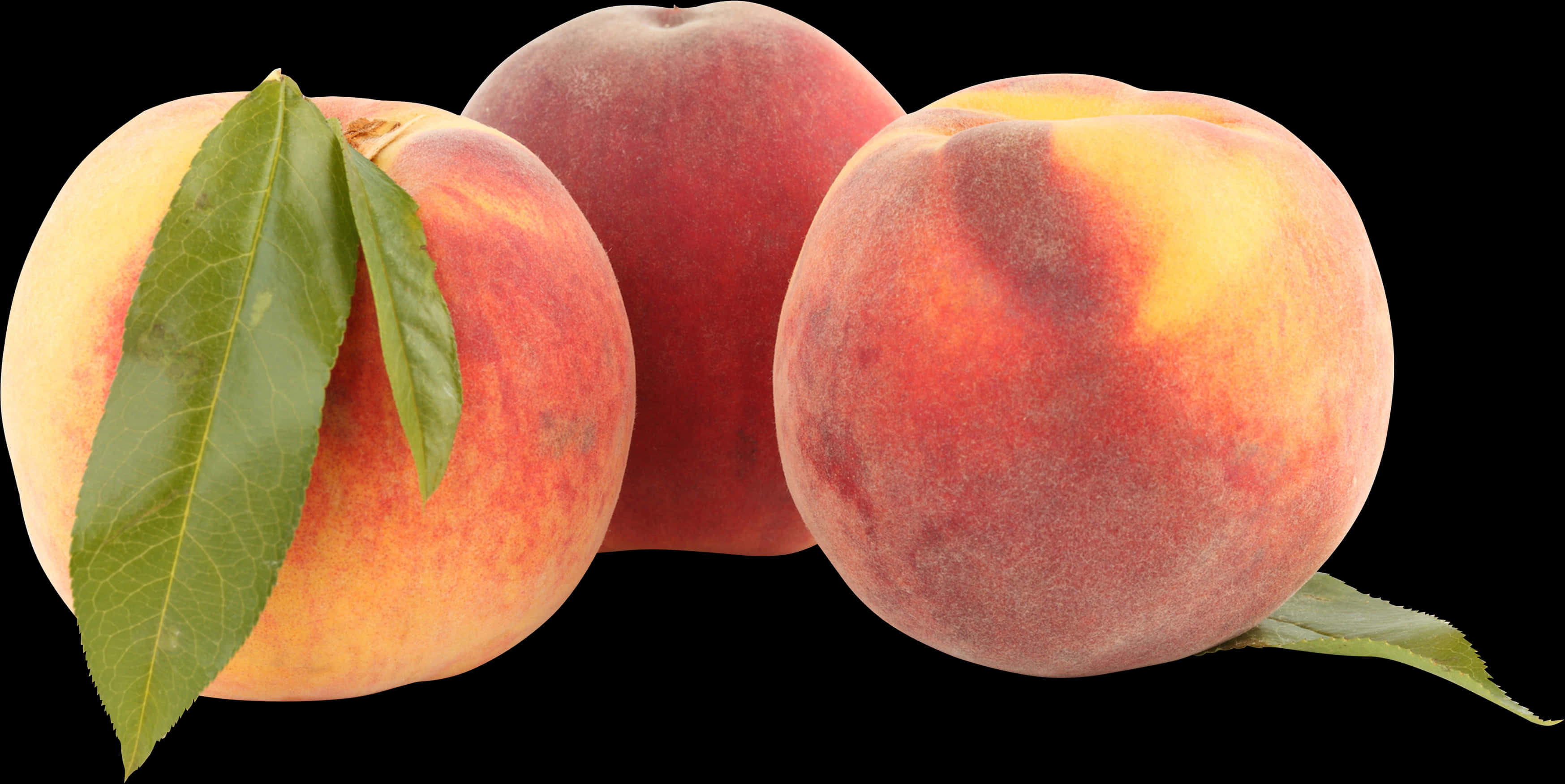 Fresh Peaches Black Background PNG image