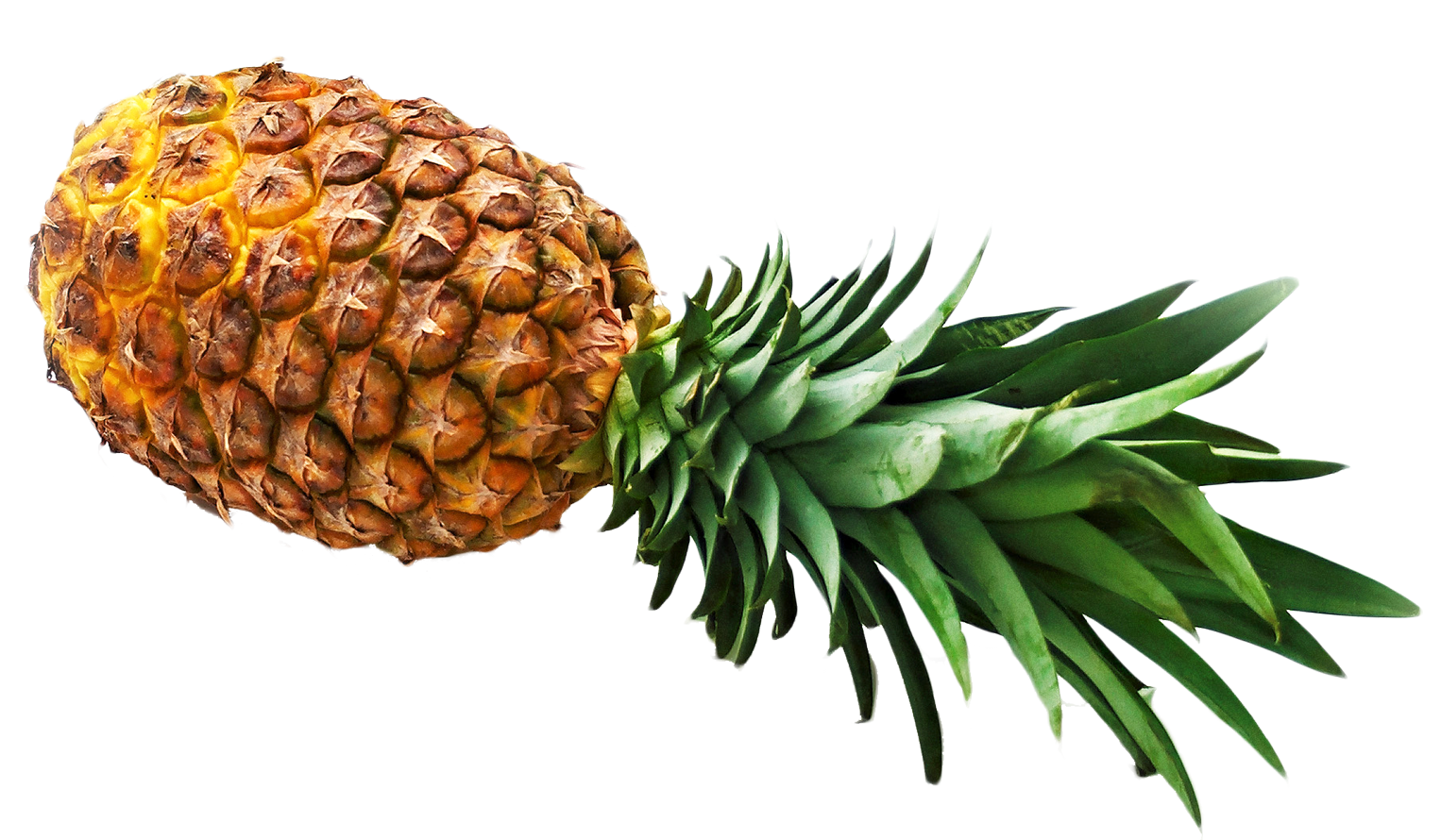 Fresh Pineapple Isolated.png PNG image