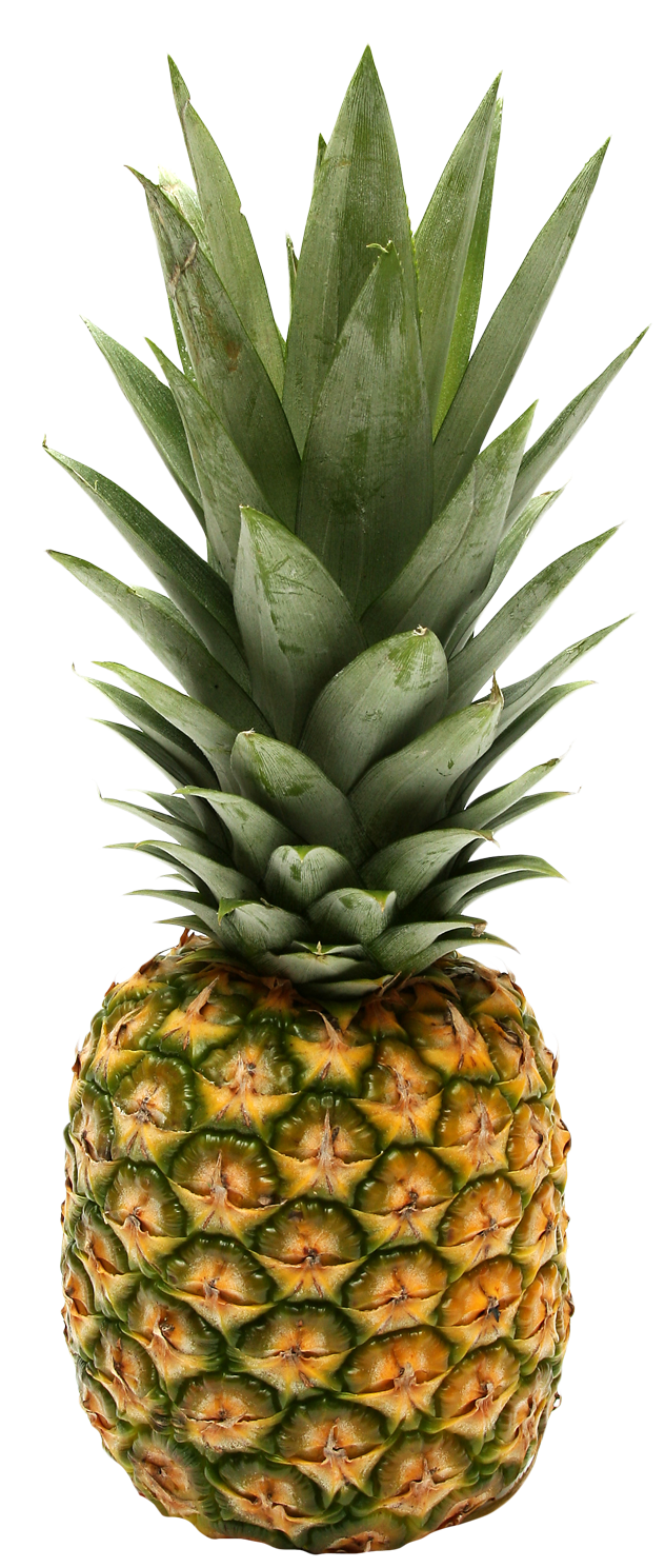 Fresh Pineapple Isolatedon Background PNG image