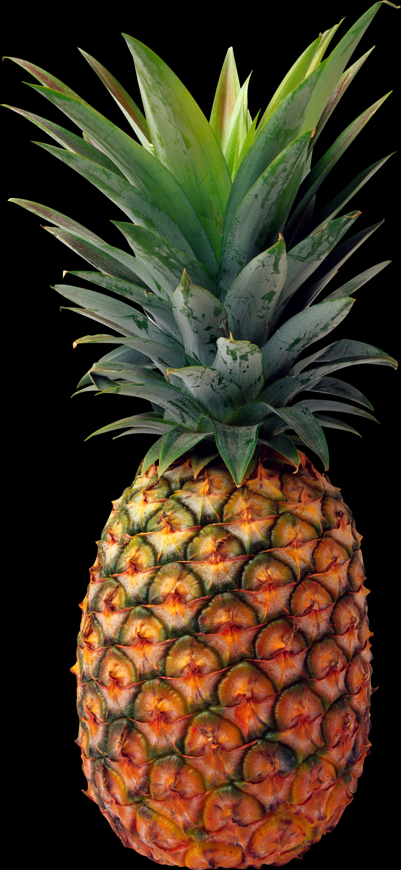 Fresh Pineapple Isolatedon Black PNG image