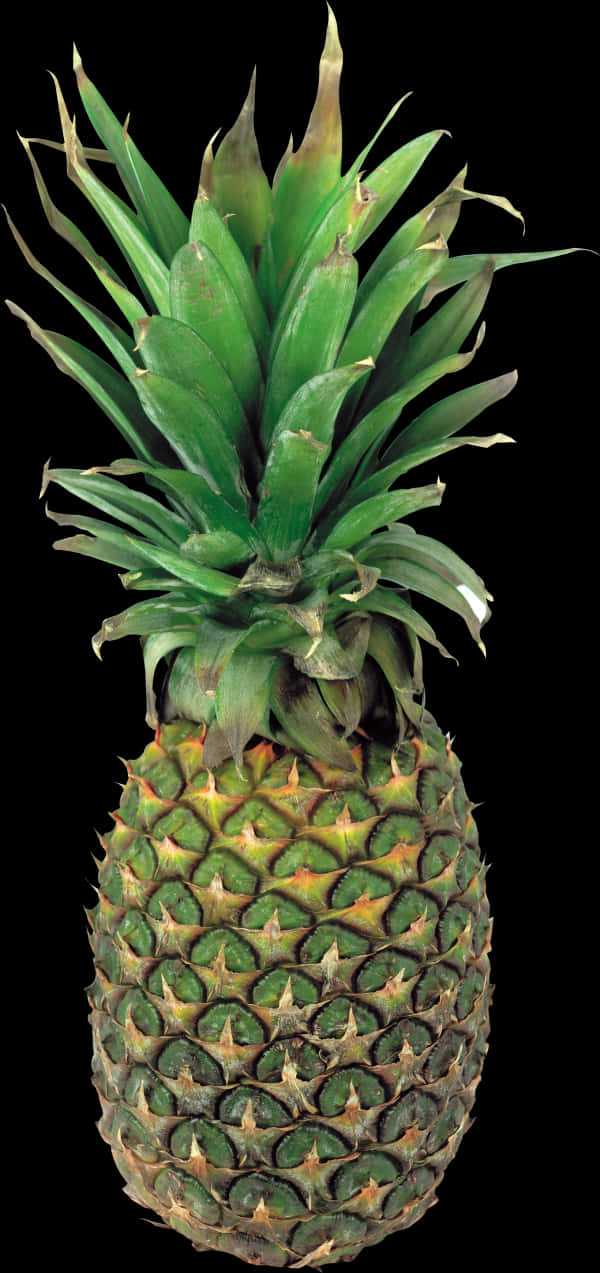 Fresh Pineapple Isolatedon Black PNG image