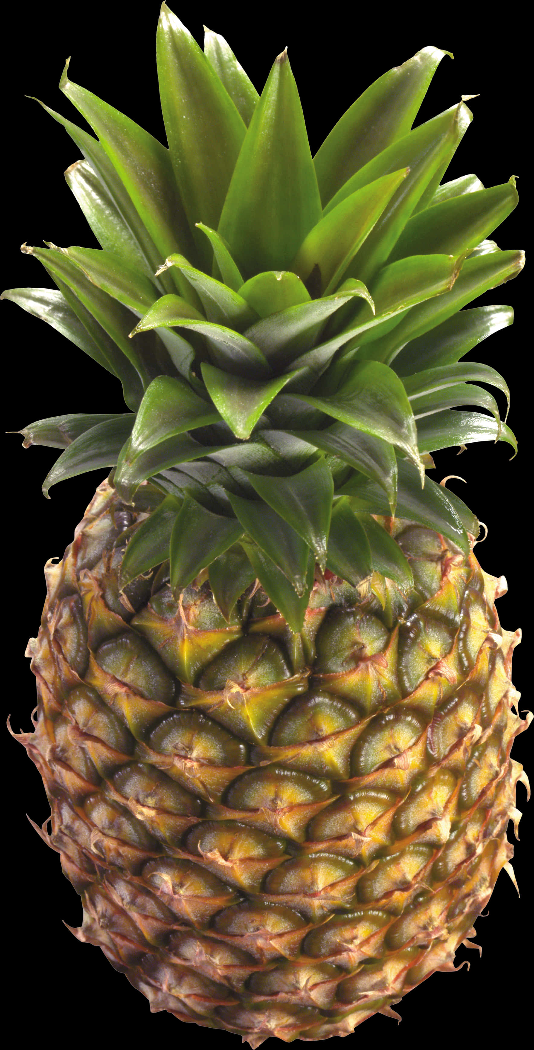 Fresh Pineapple Isolatedon Black PNG image