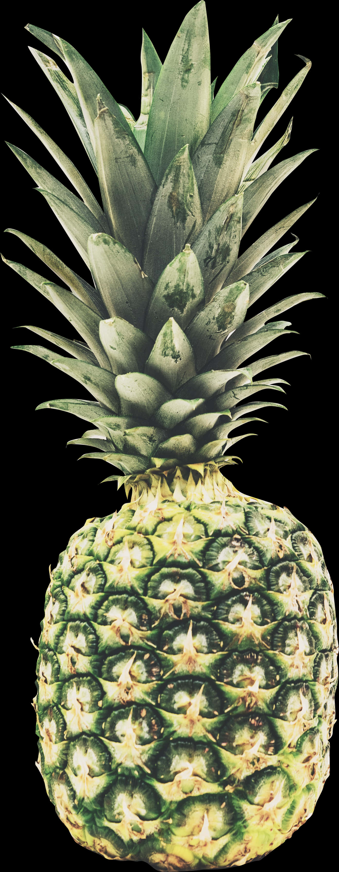 Fresh Pineapple Isolatedon Black PNG image