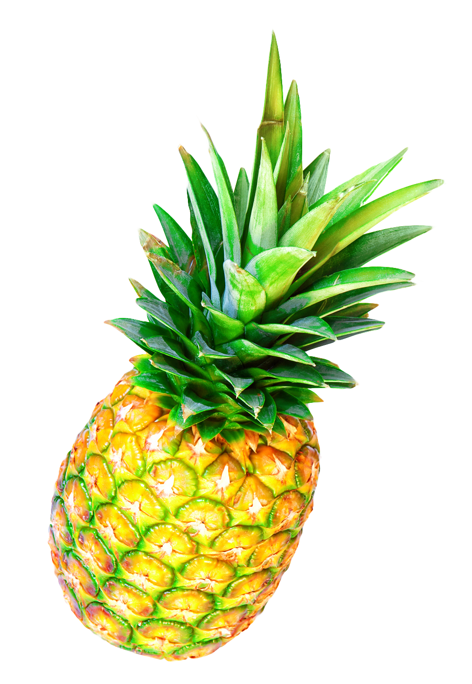 Fresh Pineapple Isolatedon Gray PNG image