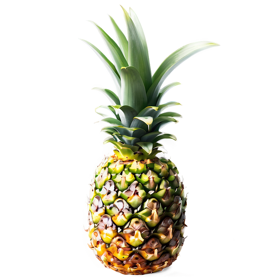 Fresh Pineapple Png Ajf42 PNG image
